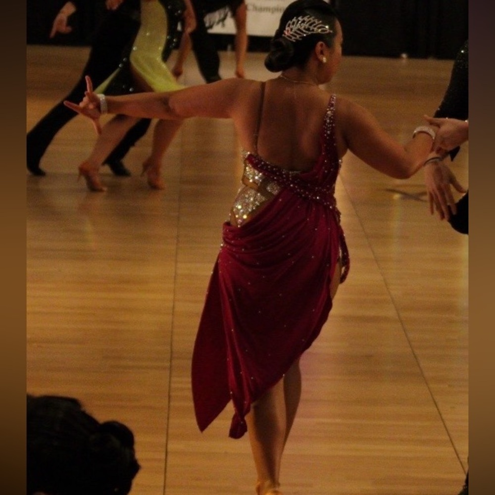 Latin Ballroom Dance Dress - Picture 14 of 16